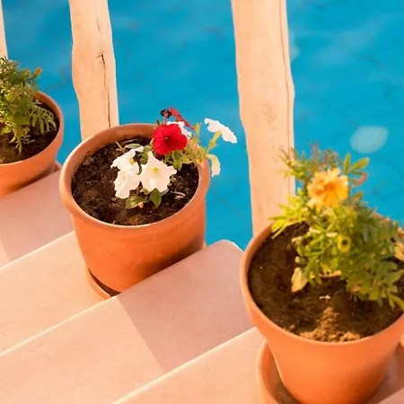 Elia Lejlighedshotel Kavousi (Chania)